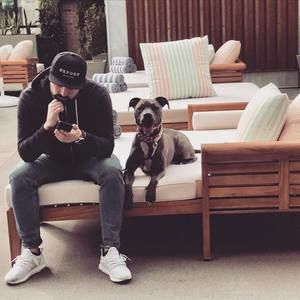 Meet your Posher, Ryan